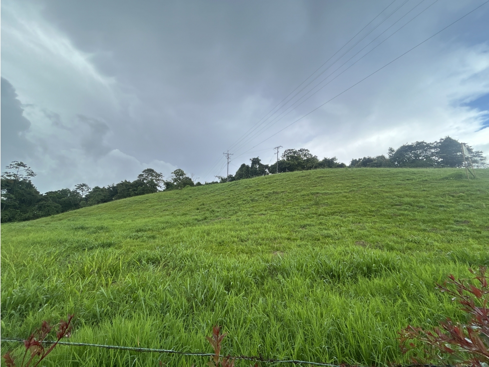 Se Vende Lote En Condominio En Circasia - 6