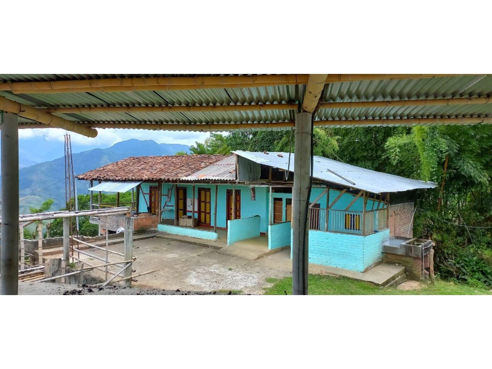 Se Vende Finca Ganadera En La Virginia - Risaralda - 4