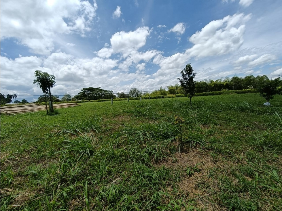 Se Vende Lote En Montenegro - Quindío — foto 5