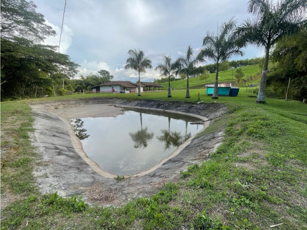 Se Vende Finca En Ulloa - Valle Del Cauca - 5