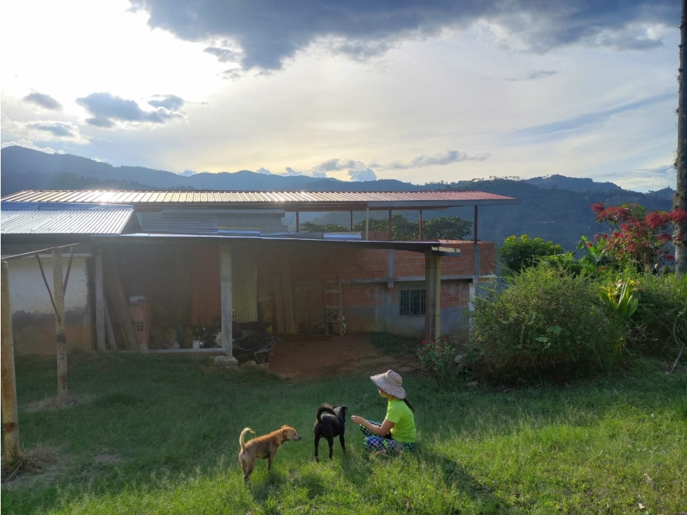 Se Vende Finca En Genova Quindío - 2