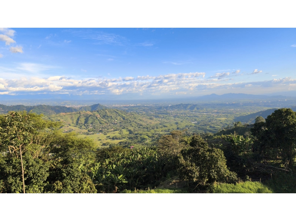 Se Vende Finca En Combia - Risaralda — foto 3