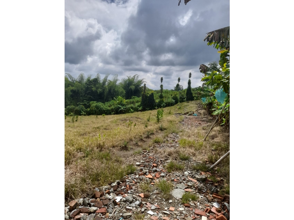 Se vende Lotes en La Tebaida Quindío - 6