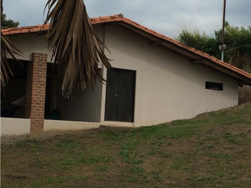 Se vende Finca En Caicedonia - Valle Del Cauca - 4