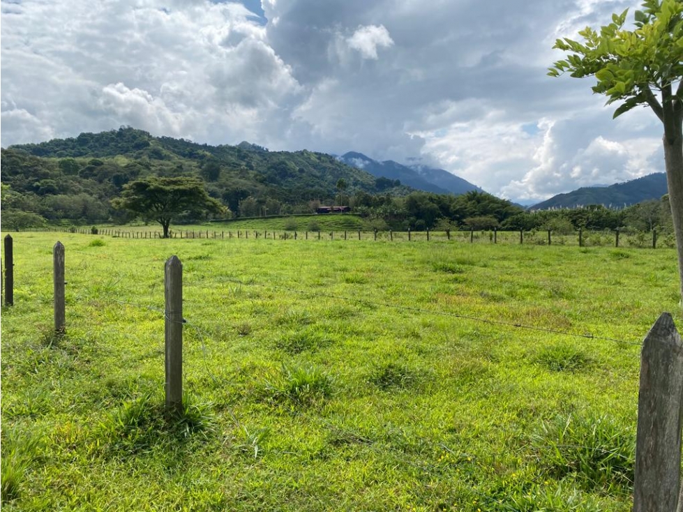 Se Vende Finca En Barragán - 1