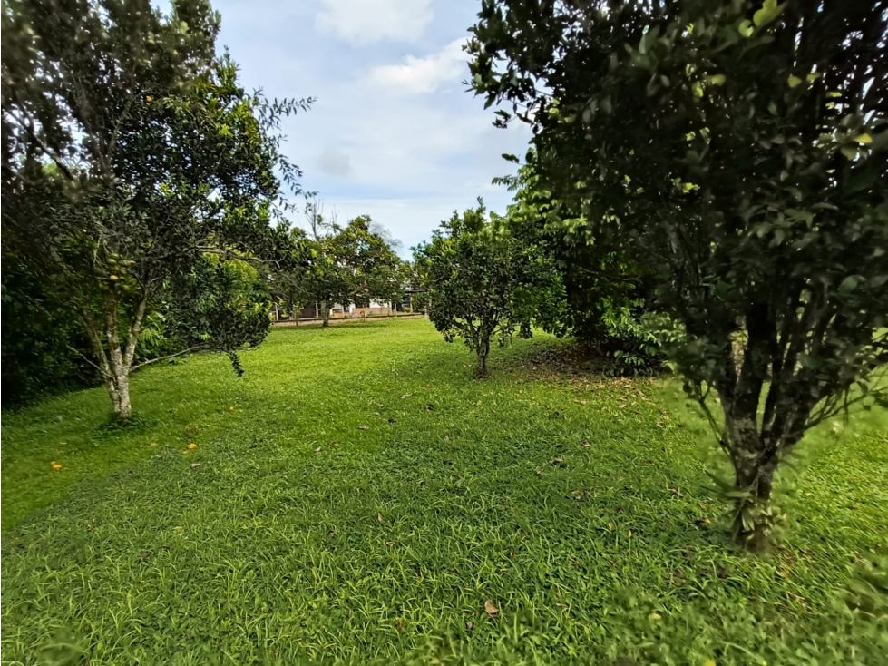 Se Vende Lote En Condominio Campestre S. La Y De Calarca - 3
