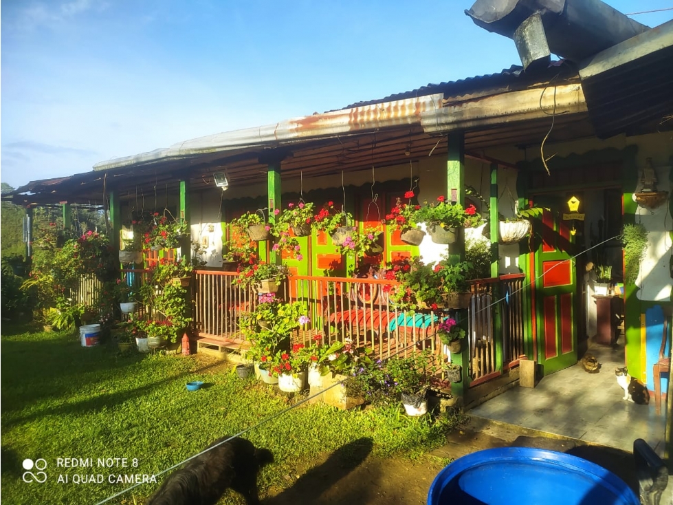 Se Vende Finca En Circasia - Quindío