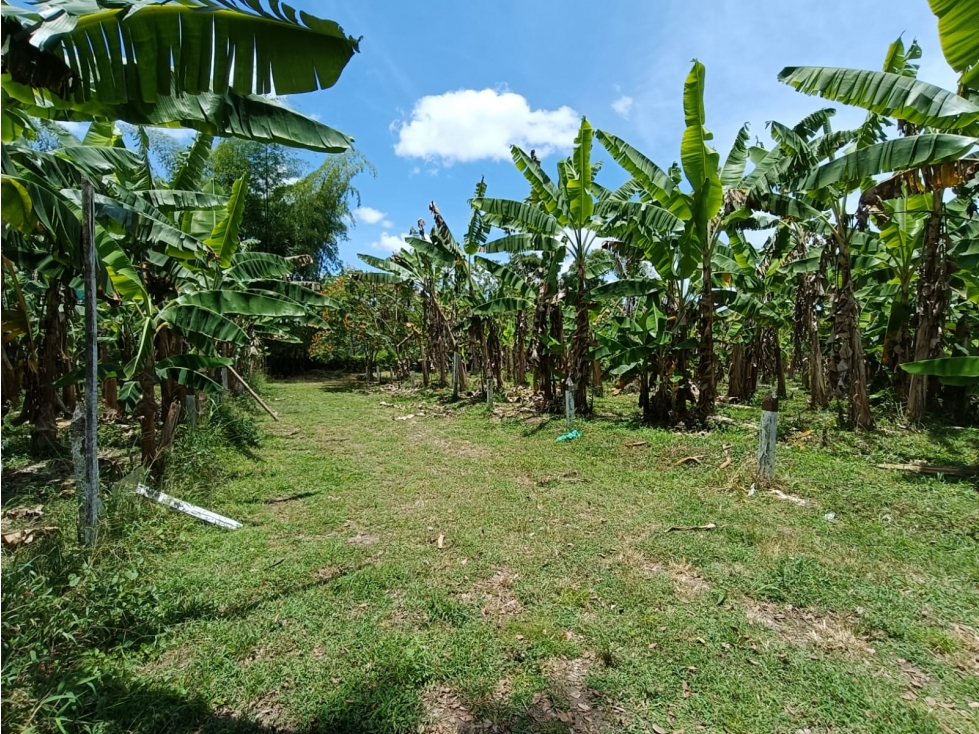 Se Vende Lote En Montenegro - Quindío
