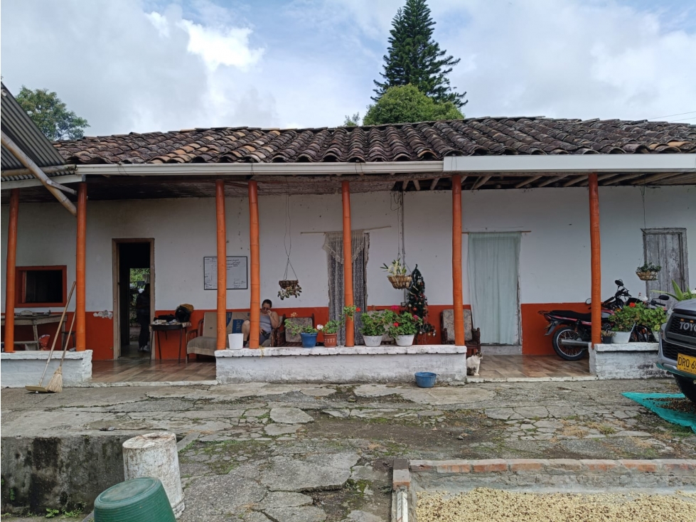 Se Vende Finca en Quimbaya - Quindío - 3
