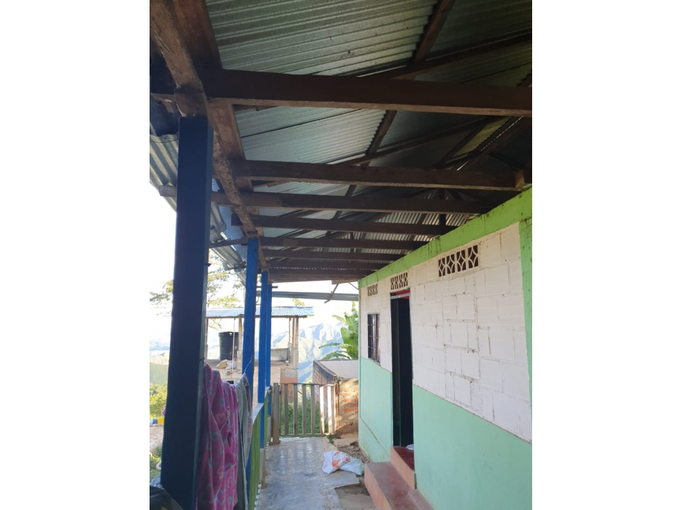 Se vende Finca en Ibagué Tolima - 5