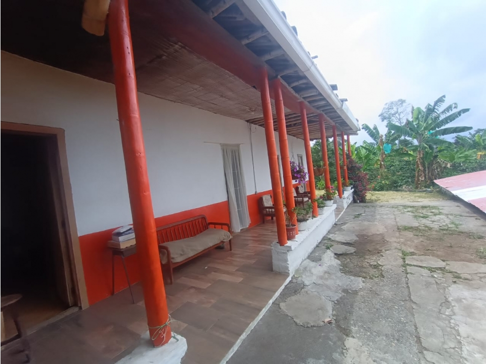 Se Vende Finca en Quimbaya - Quindío - 5