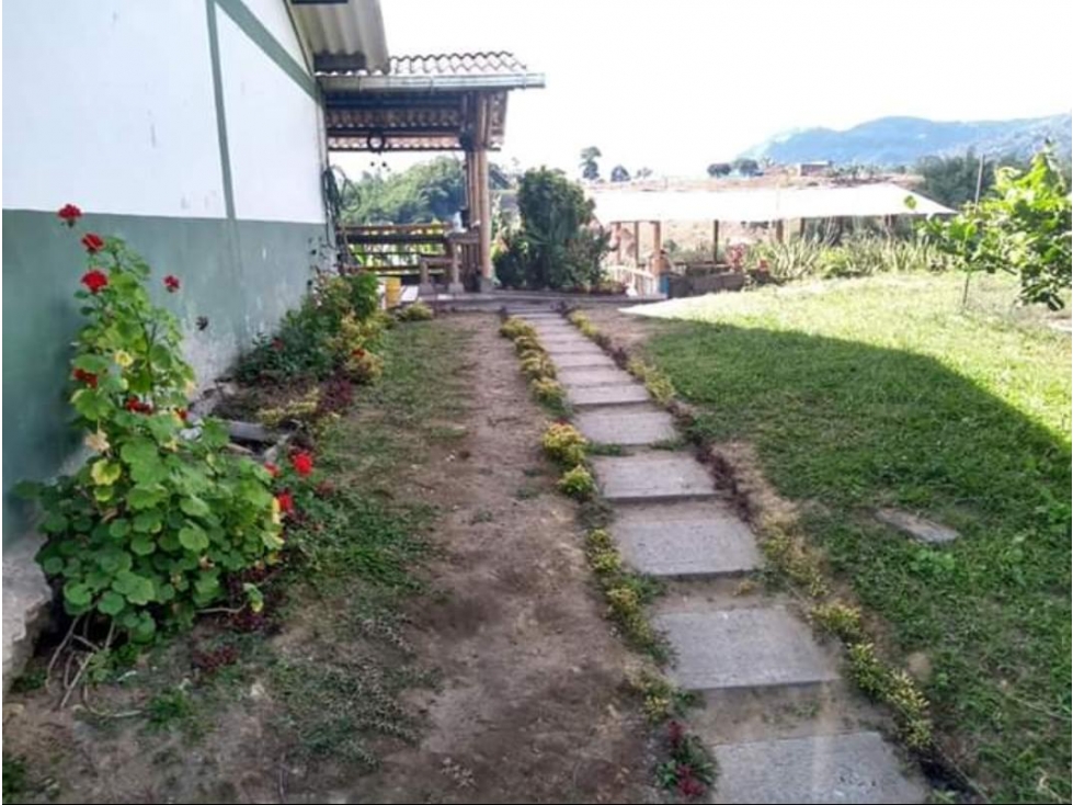 Se Vende Finca Cafetera Calarcá Quindío - 4