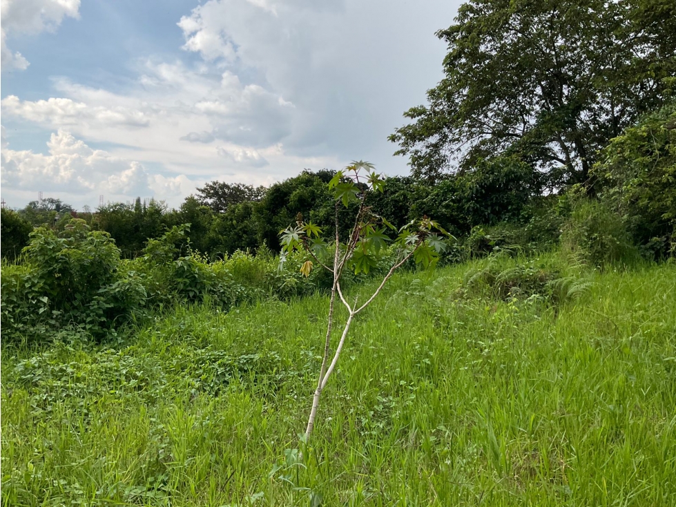 Se vende Lote en La Y de Calarcá - Armenia Quindío - 1