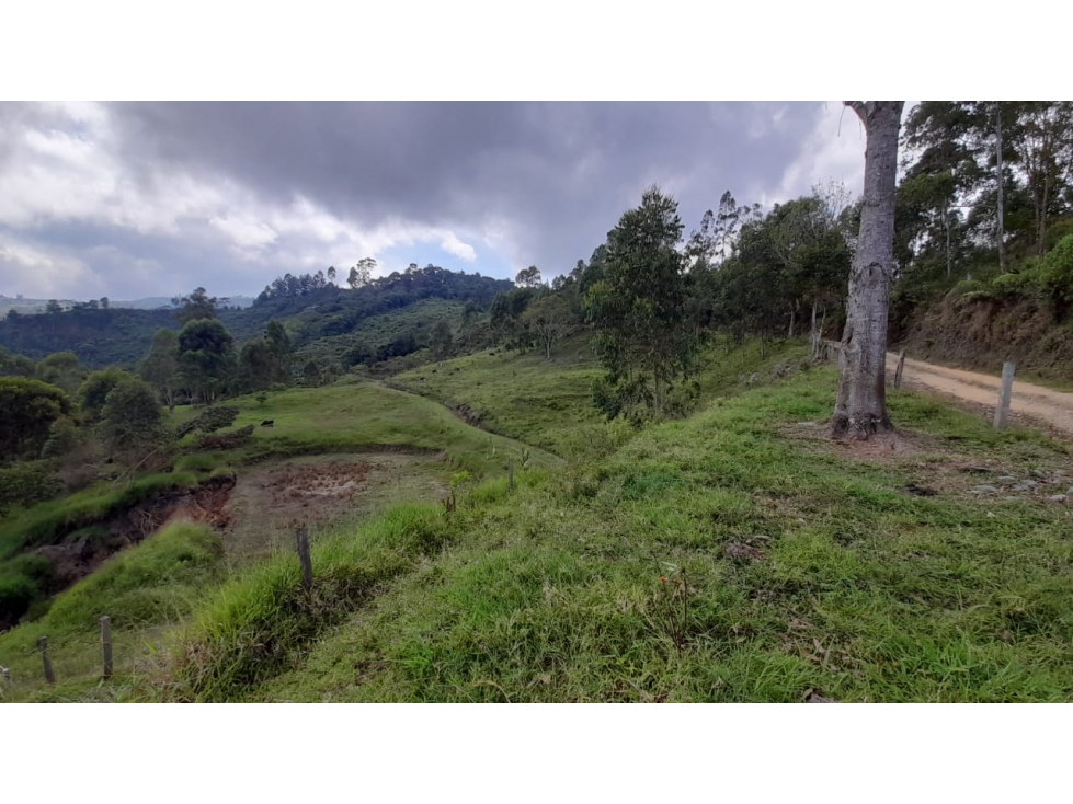 Se Vende Finca en Génova - Quindío - 4