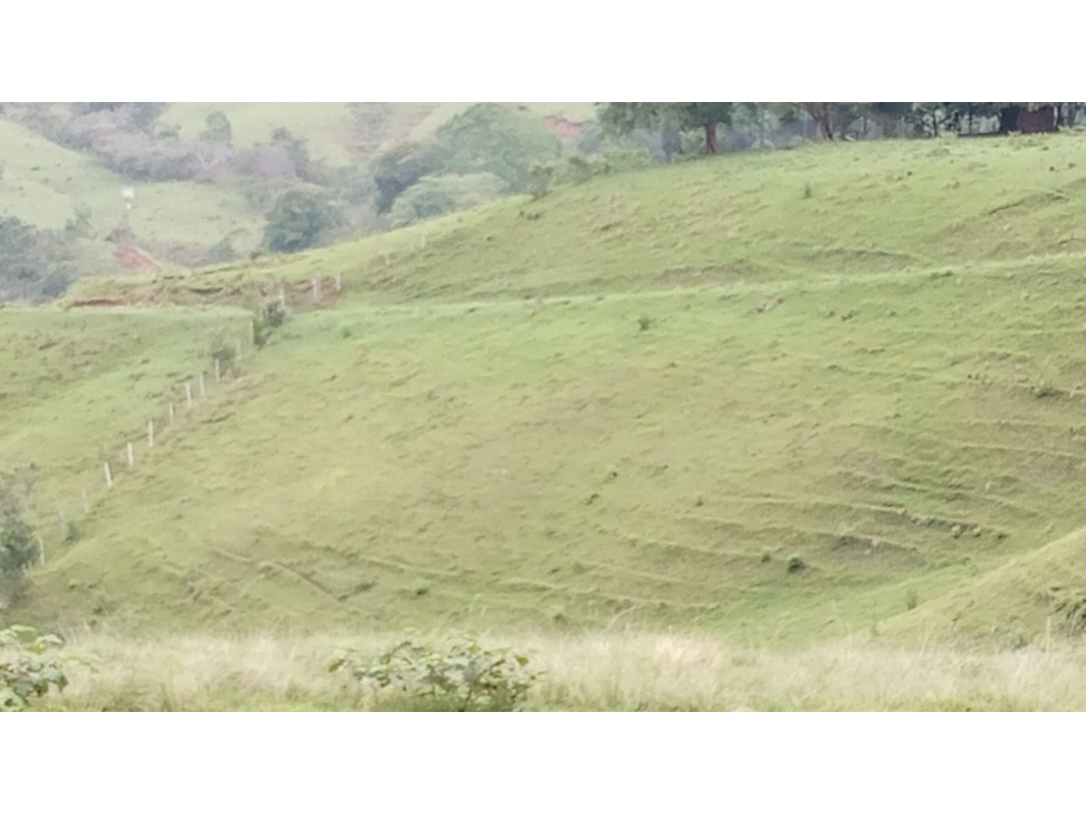 Se vende Finca Trujillo - Valle del Cauca - 1