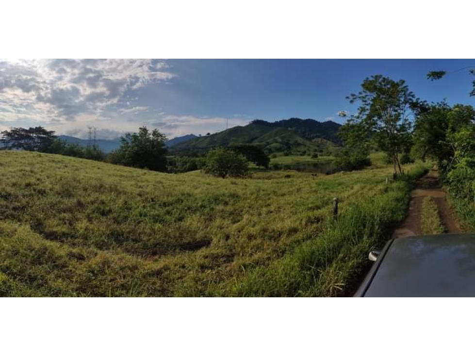Se Vende Finca En Cerritos - Risaralda