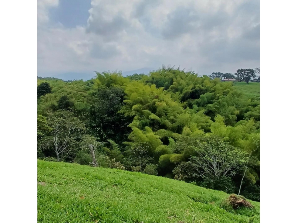 Se vende Lote S. Hojas Anchas Armenia Quindío