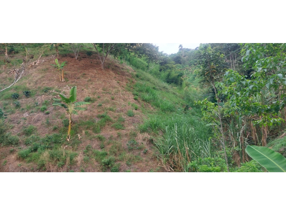 Se vende Finca Sardineros Córdoba — foto 2