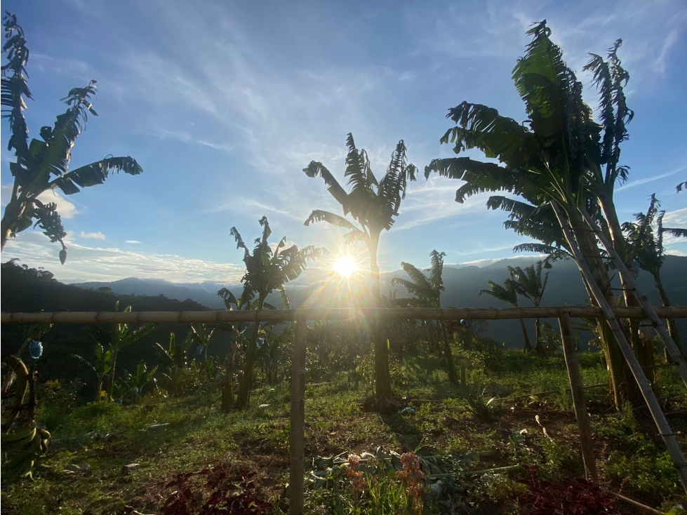 Se vende Finca Alban Valle del Cauca