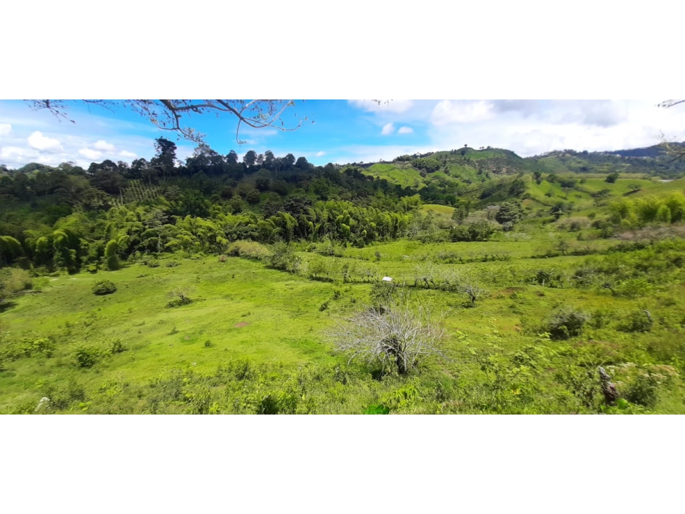 Se Vende Finca Ganadera Entre Barragan - Río Verde.