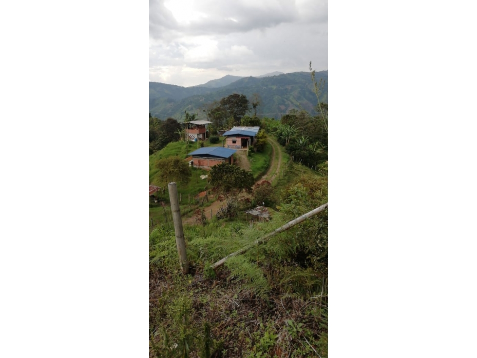 Se Vende Finca Con Dos Casas, Salamina, Caldas. - 1