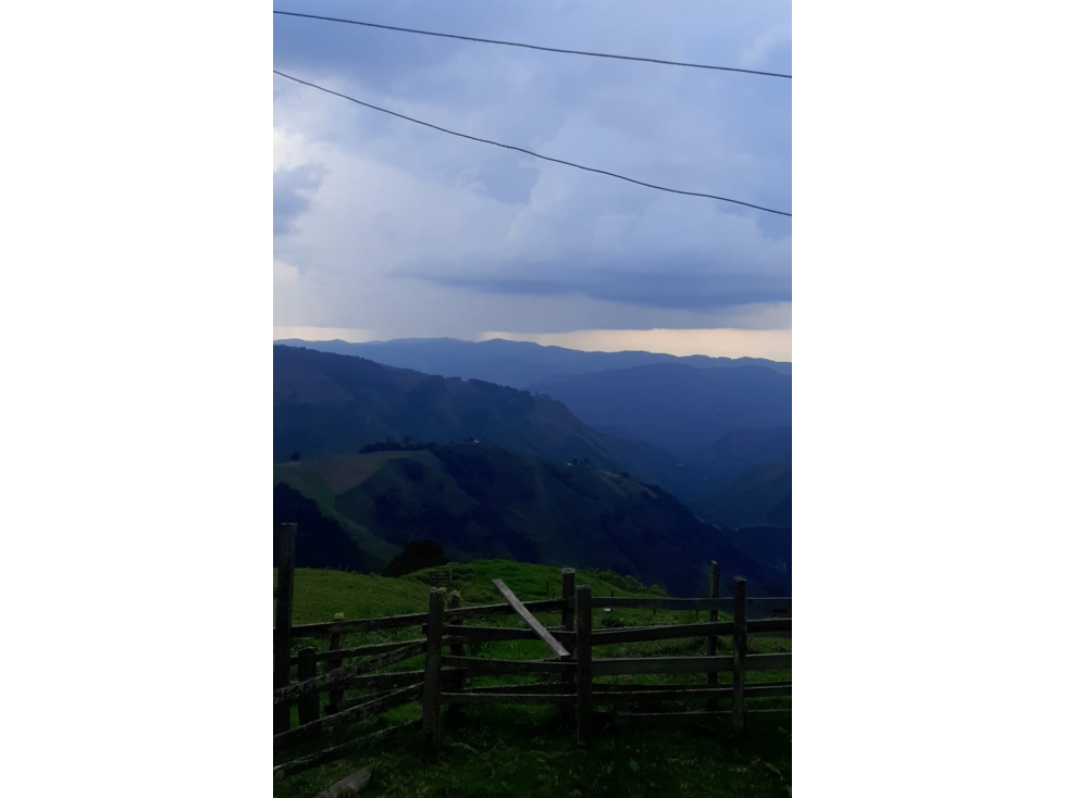 Se vende Finca Génova Quindío