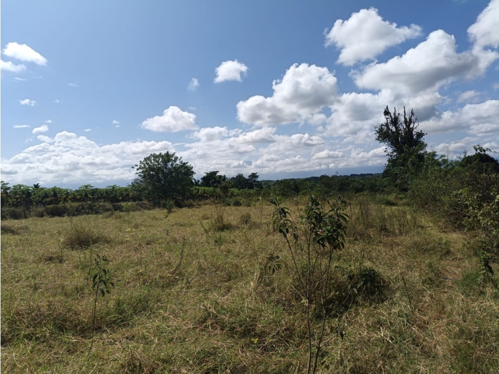Se Vende Lote En Montenegro