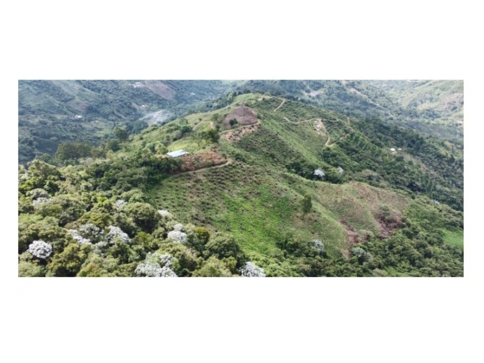 Se Vende Finca En Genova - Quindío - 3