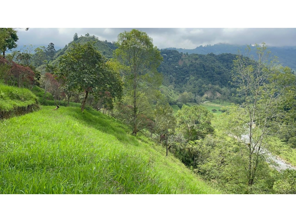 Se Vende Lote En Salento - Quindío - 3