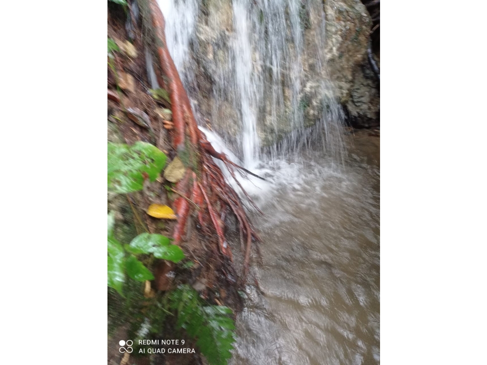 Se Vende Finca En Cordoba - Quindío — foto 4