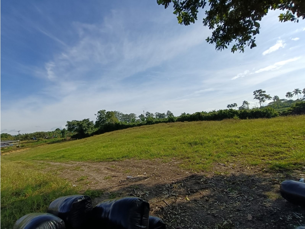 Se Vende Lote Vía Montenegro - La Tebaida - Quindío