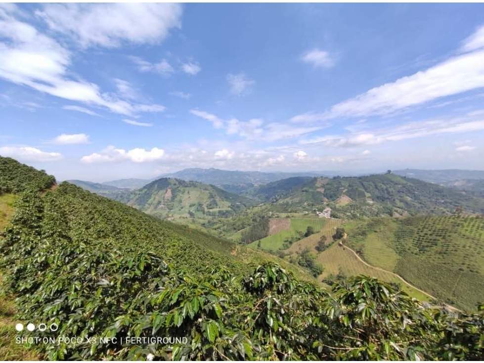 Se Vende Finca En Santa Rosa De Cablal - Risaralda — foto 3