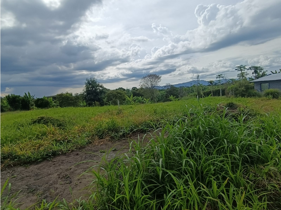Se Vende Lote En Pueblo Tapao - Quindío