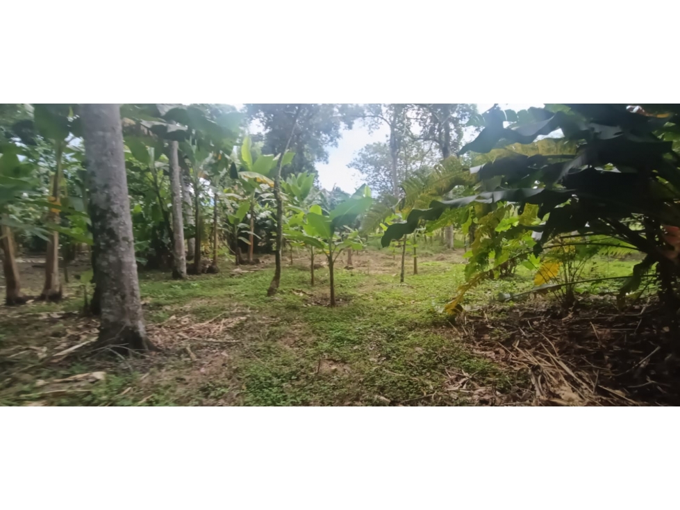 Se Vende Lote S. Via Puerto Espejo - Pueblo Tapao