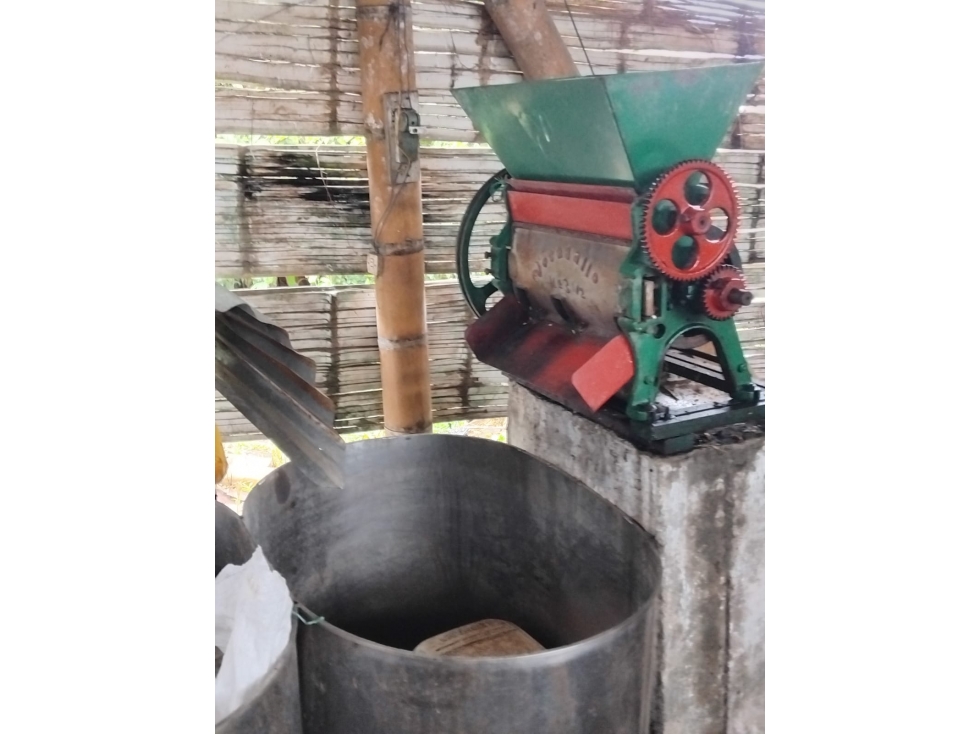 Se Vende Finca En Cordoba - Quindío — foto 5