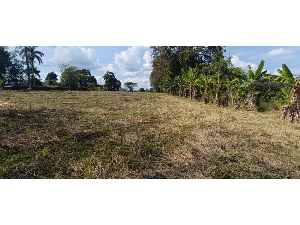 Se Vende Lote Vía Montenegro - Quimbaya - Quindío