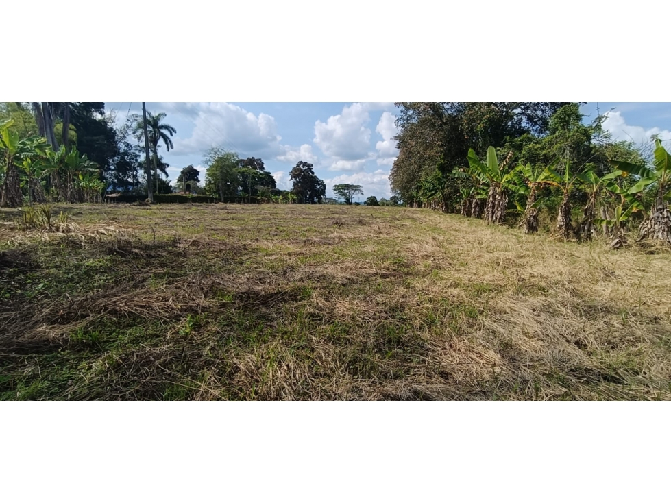 Se Vende Lote Vía Montenegro - Quimbaya - Quindío — foto 4