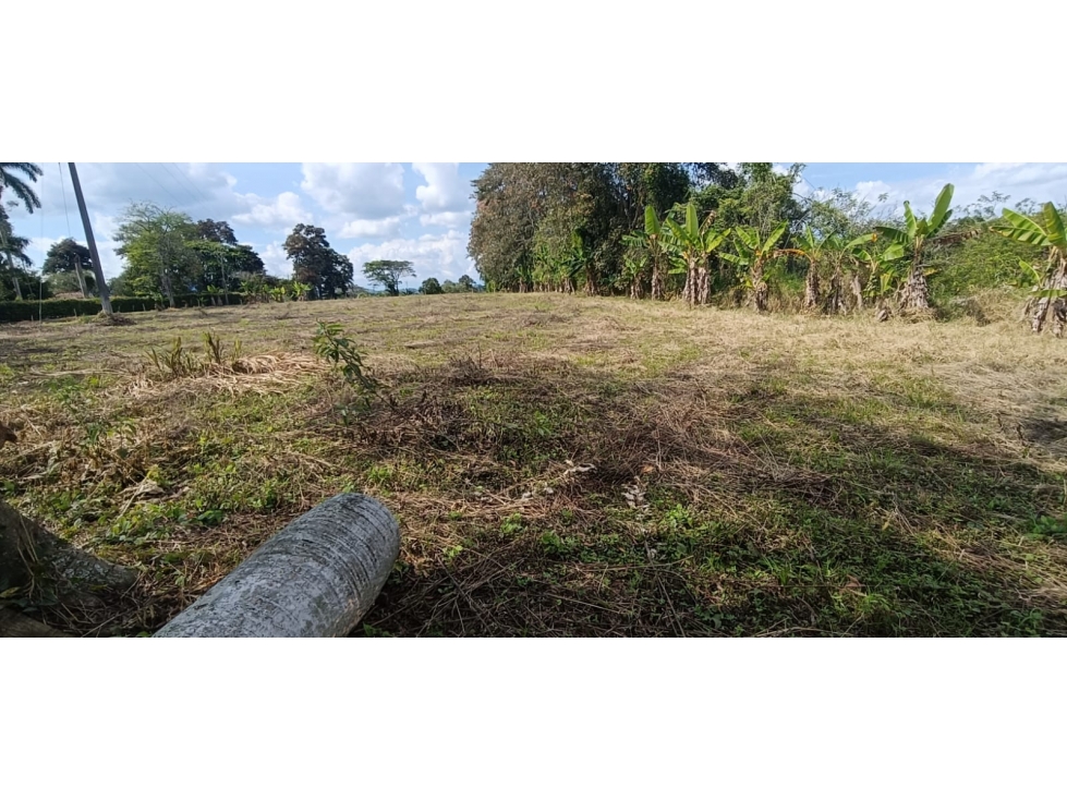 Se Vende Lote Vía Montenegro - Quimbaya - Quindío
