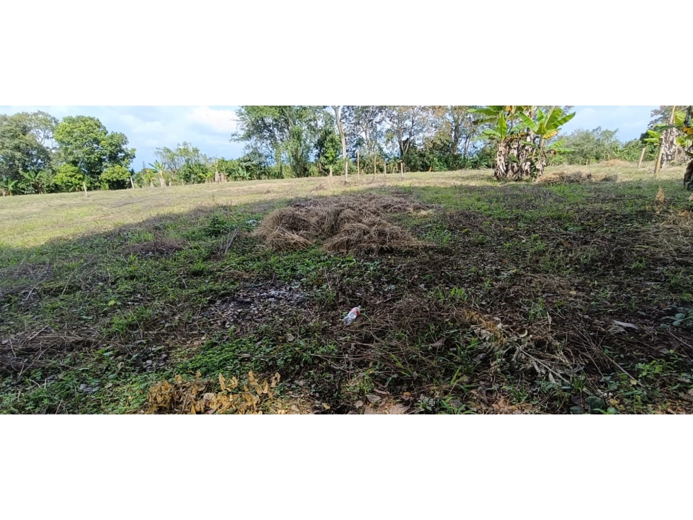 Se Vende Lote Vía Montenegro - Quimbaya - Quindío — foto 5