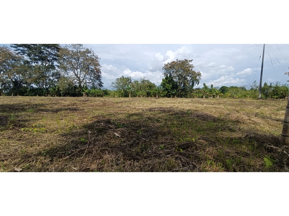 Se Vende Lote Vía Montenegro - Quimbaya - Quindío — foto 5