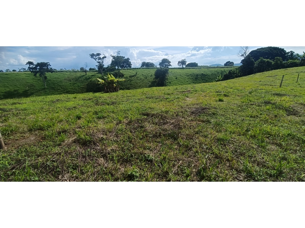 Se Vende Lote Vía Montenegro - Quimbaya - Quindío