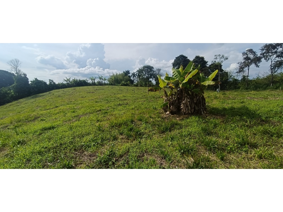 Se Vende Lote Vía Montenegro - Quimbaya - Quindío