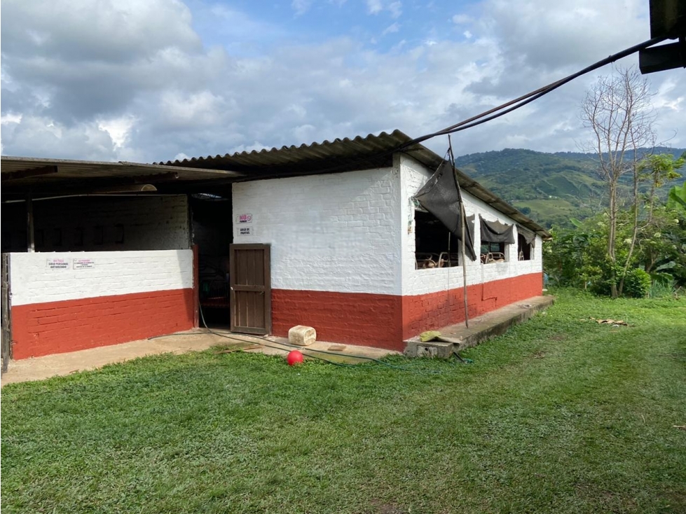 Se Vende Finca Porcicola y Agricola En Sevilla - Valle Del Cauca - 1