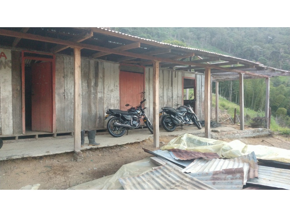 Se Vende Finca En Sevilla Valle del Cauca - 1