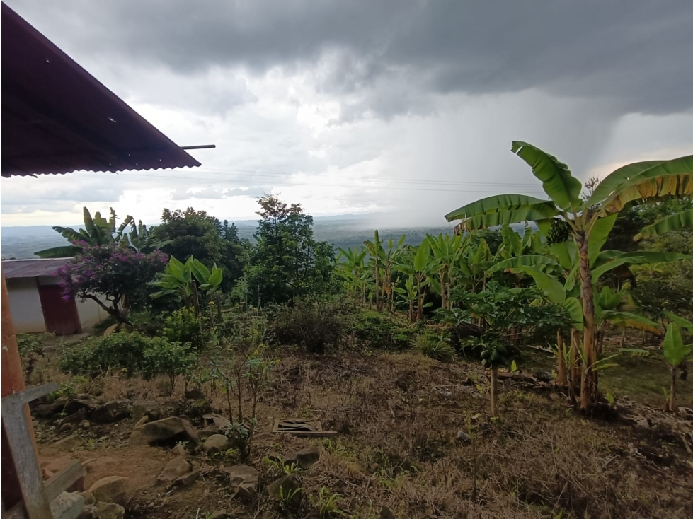 Se Vende Finca En Córdoba - Quindío — foto 5