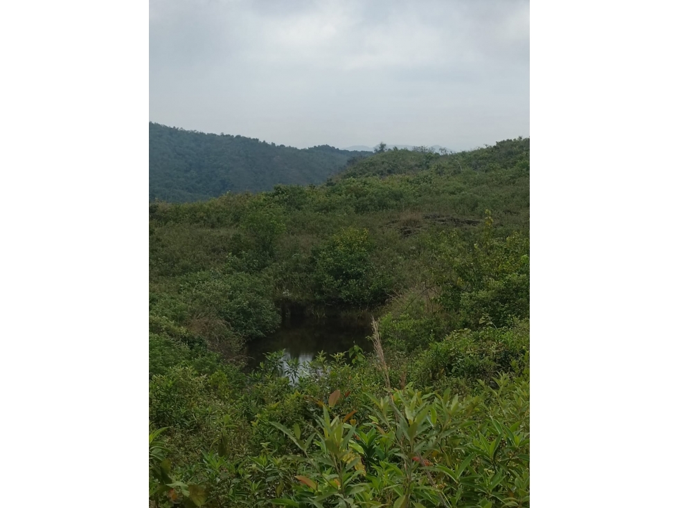 Se Vende Finca en San Luis - Ibague - 1