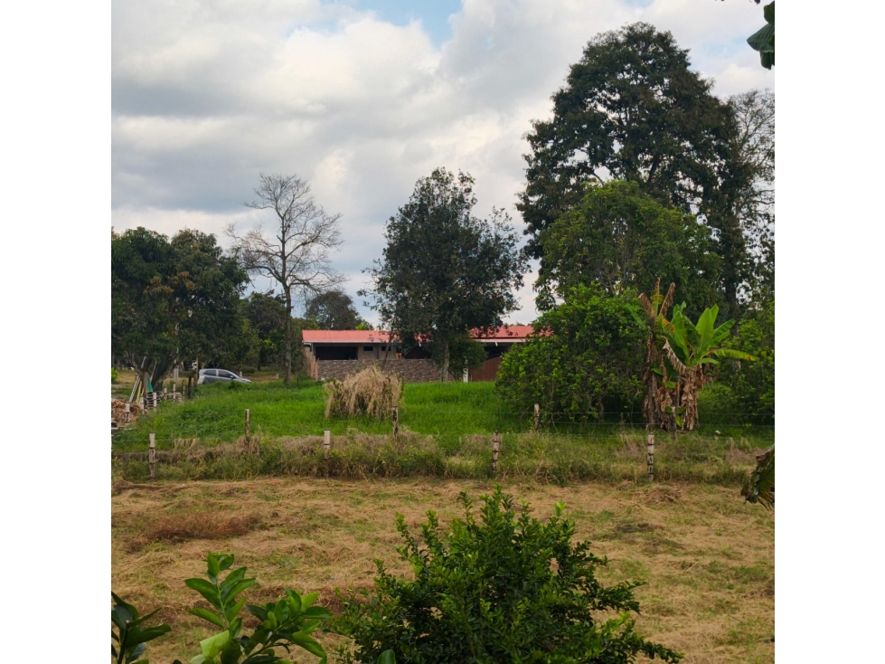 Se Vende Lote en Quimbaya - Quindío.