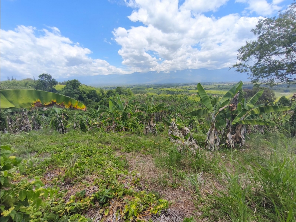 Se Vende Finca ubicada en la Via Pueblo Tapao - La Tebaida - Quindío. - 1