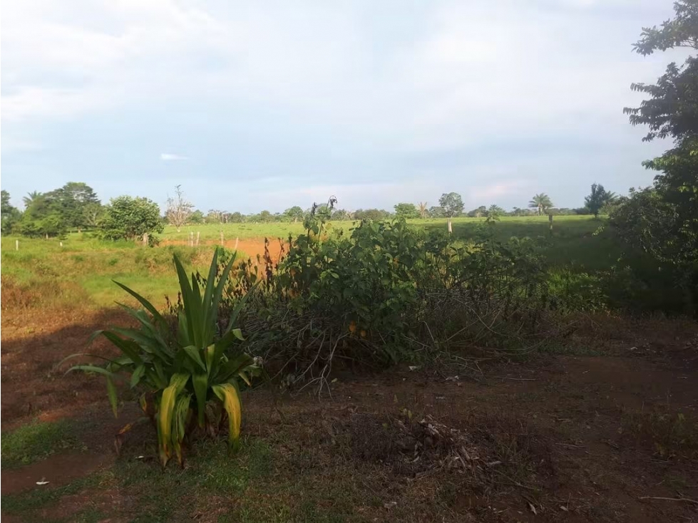 Se Vende Finca en Villavicencio - Meta - 4