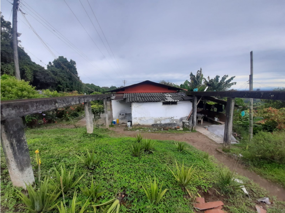 Se Vende Finca En La Y De Calarcá Quindío. - 3